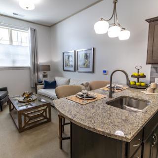 A modern and inviting kitchen-living room space featuring sleek furniture and stylish decor.
