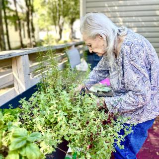 An elderly woman tending to her herb garden on a sunny day.