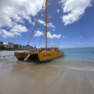 A vibrant yellow catamaran anchored on a sandy beach under a clear blue sky.