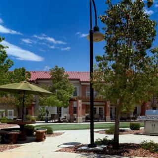 A sunny outdoor park area with benches, trees, and nearby buildings.