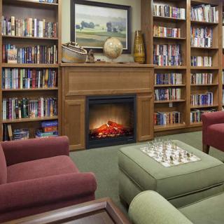 A cozy library room with a fireplace, bookshelves, and a chessboard.