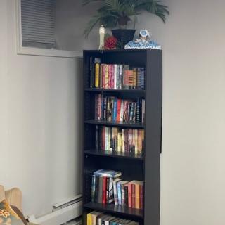 A tall, black bookshelf filled with books, topped with a plant and decorative items.