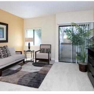 A cozy living room with modern furniture, a potted plant, and a sliding glass door leading to an outdoor area.