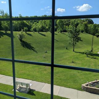 A serene view of lush green hills and trees on a sunny day, viewed through a window.