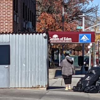 A pedestrian walks down the sidewalk near a corner with colorful autumn leaves, showcasing an urban setting.