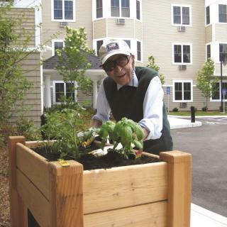 A senior person engaged in gardening outside an apartment building.