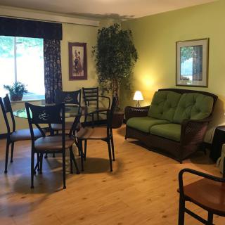 A cozy living and dining area with wooden floors, featuring a green sofa, glass table with chairs, indoor plant, and decorative artwork on the walls.
