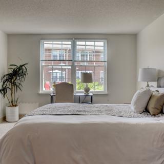 A minimalist bedroom with a large bed, potted plant, and a desk by the window.