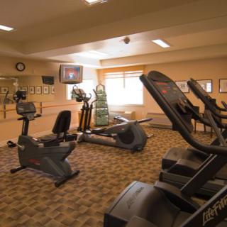 A gym room featuring treadmills and stationary bikes for fitness enthusiasts.