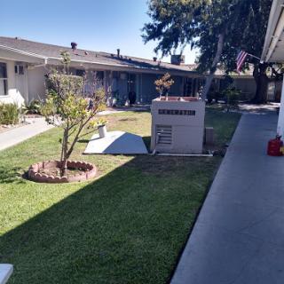 A well-maintained residential yard featuring grass and landscaping.