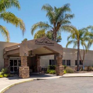 A sunny day view of a building entrance surrounded by palm trees.
