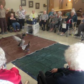 Cedar Manor Nursing Home