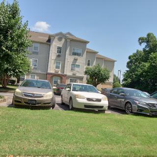 A sunny day at a parking area in front of an apartment building, featuring multiple parked cars and lush green grass.