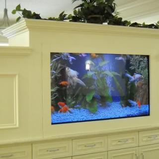 A stylish built-in aquarium displaying colorful fish in a modern interior setting.
