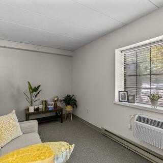 A cozy living room with a sofa, indoor plants, and a window letting in natural light.