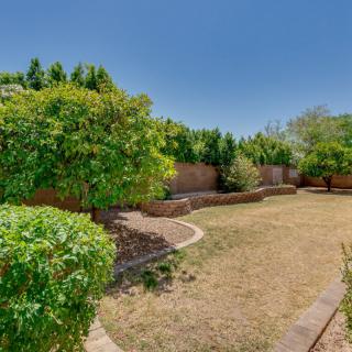A sunny backyard garden with lush trees and grassy areas surrounded by a brick wall.