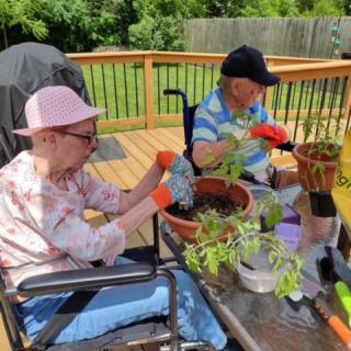 Two elderly individuals enjoy gardening on a sunny day, tending to potted plants on a wooden deck.