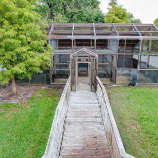 A large outdoor birdhouse with a wooden walkway leading to it, set amidst greenery.