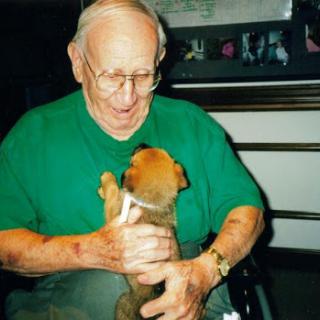An elderly man joyfully interacts with a playful puppy, showcasing a heartwarming moment of companionship.