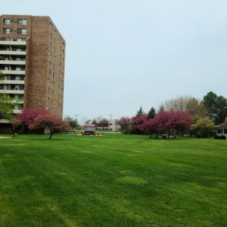 A serene view of an apartment building surrounded by lush green grass and blooming trees.