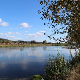 A serene view of a river with trees lining the bank under a blue sky.