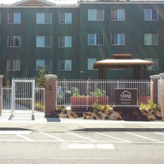 Exterior view of a hotel with green walls and landscaped entrance.