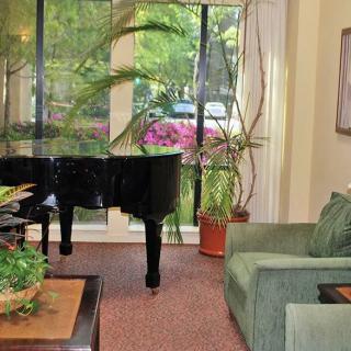 A cozy living room featuring a grand piano, comfortable seating, and lush indoor plants near large windows.
