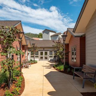 A sunny courtyard with benches and landscaped paths surrounded by modern buildings.