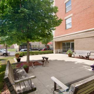 A peaceful outdoor patio area with benches and a tree in front of a building.
