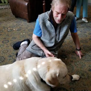 A person kneeling beside a Labrador dog, gently petting it in a cozy indoor environment.