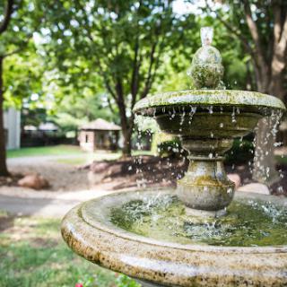 A serene garden fountain surrounded by lush greenery.
