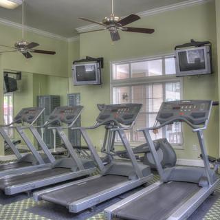 A row of treadmills in a well-lit gym with ceiling fans and TVs.