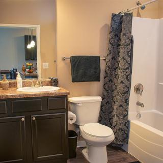 A modern bathroom with a vanity sink, toilet, and shower area.