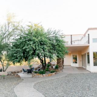 A modern house with a garden featuring trees and a gravel path on a sunny day.