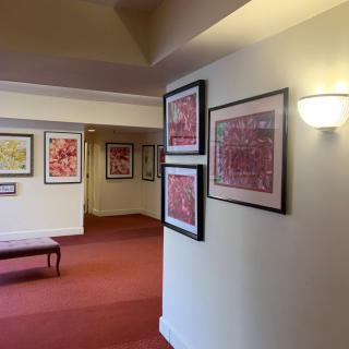 A hallway in an art gallery featuring a series of framed paintings displayed on the walls.