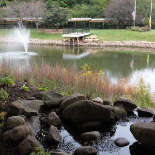 A serene view of a pond with a fountain, surrounded by lush greenery and smooth rocks.