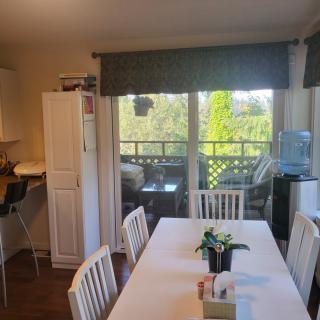 A bright dining area with a white table and chairs, featuring an indoor plant and a view through sliding glass doors.