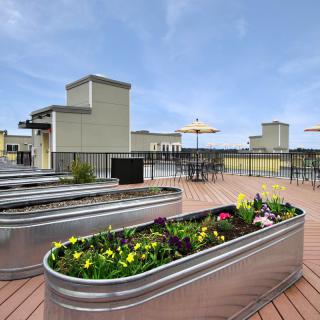 A rooftop garden with planter boxes and seating area on a deck under a clear sky.