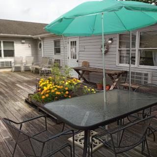 A cozy outdoor patio with a table under a green umbrella, surrounded by blooming flowers.
