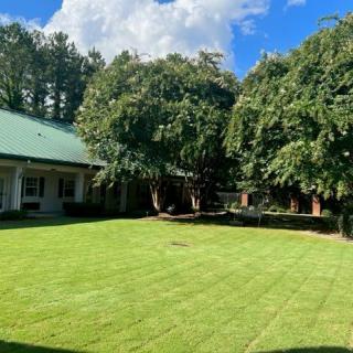 A well-maintained lawn surrounded by trees and a house under a bright blue sky.