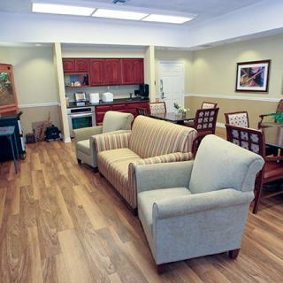 A cozy living area with sofas and a kitchenette.