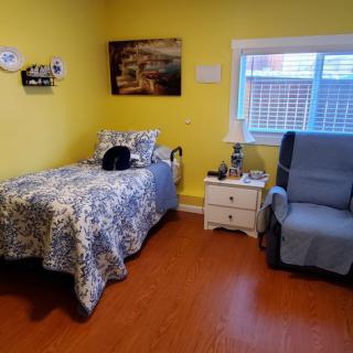 A cozy bedroom with yellow walls featuring a bed, a cat, a recliner chair, and a nightstand by the window.