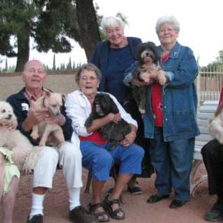 A group of elderly people sitting and standing with their dogs in a park setting.