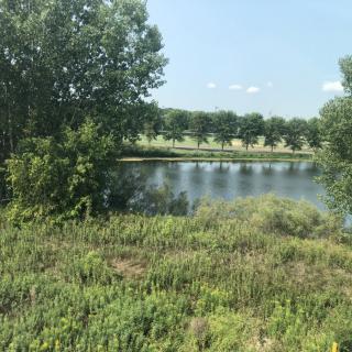 A serene landscape featuring a small lake surrounded by trees and lush greenery.