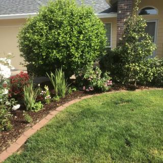 A well-maintained garden with shrubs, flowers, and a neatly trimmed lawn in front of a house.