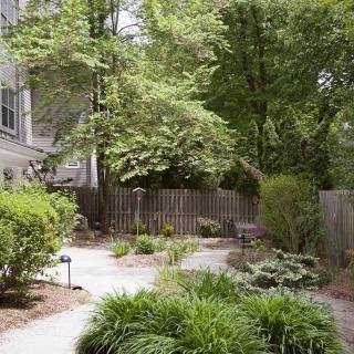 A well-maintained garden with a variety of plants and a wooden fence.