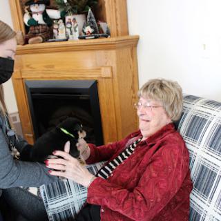 A joyful moment shared between a caregiver and an elderly woman on a cozy couch, with a playful dog nearby.