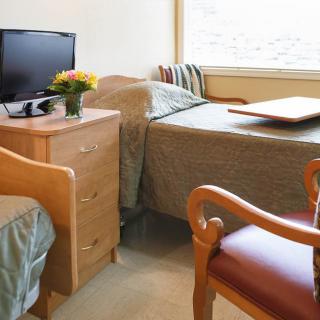 A cozy bedroom with a TV, dresser, and flowers on the side table.