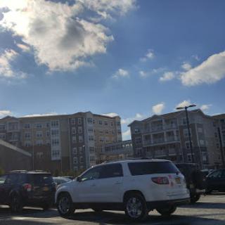 A sunny day in a busy parking lot with cars parked and buildings in the background.