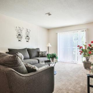 A cozy living room with a comfortable sofa and abundant natural light.